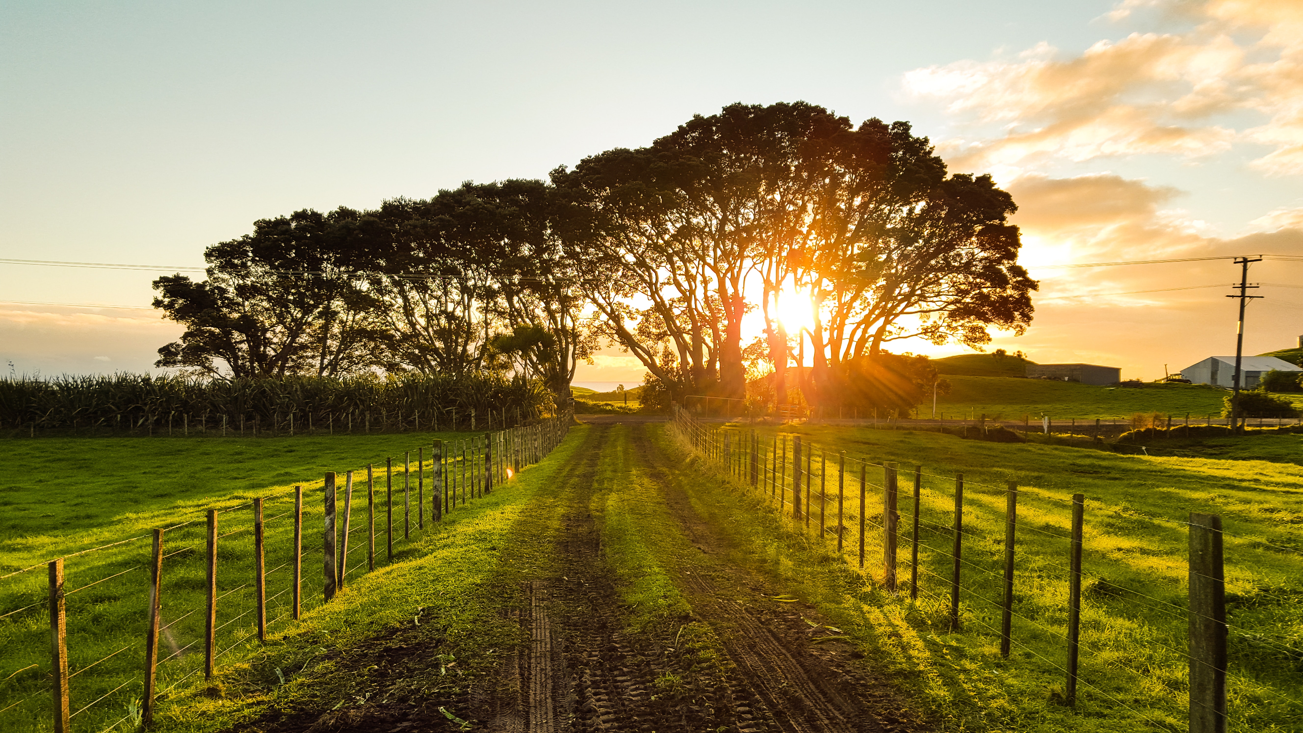 platteland