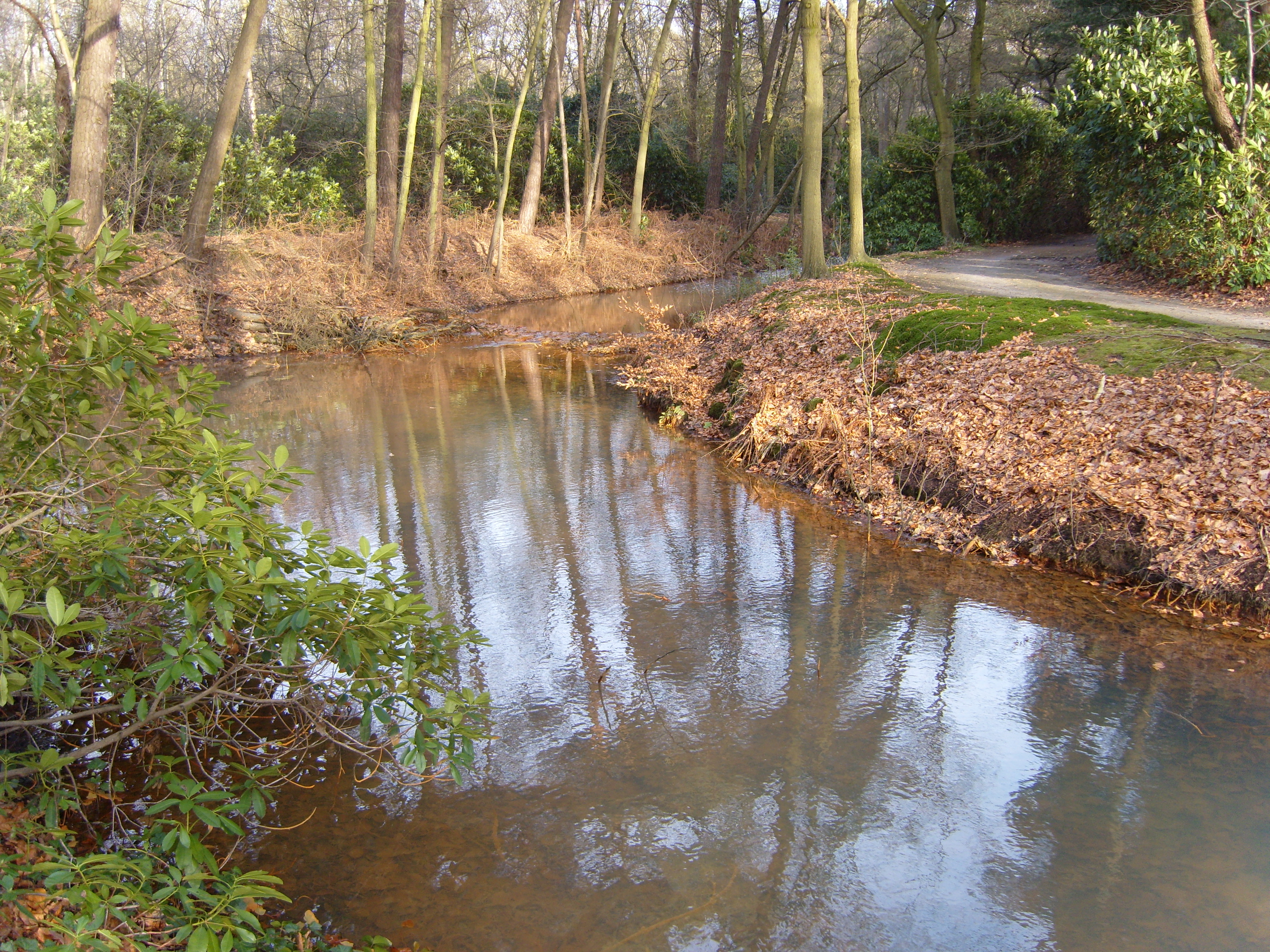 beek_in_bos