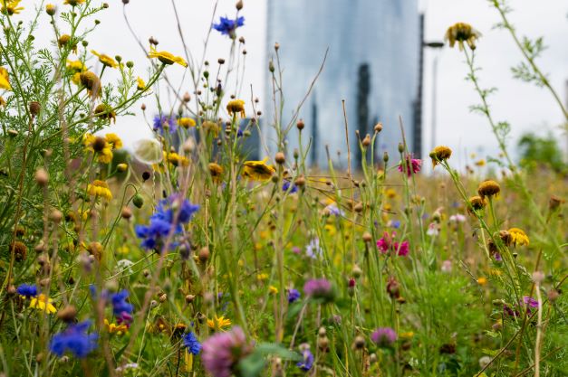 	biodiversiteit_industrie