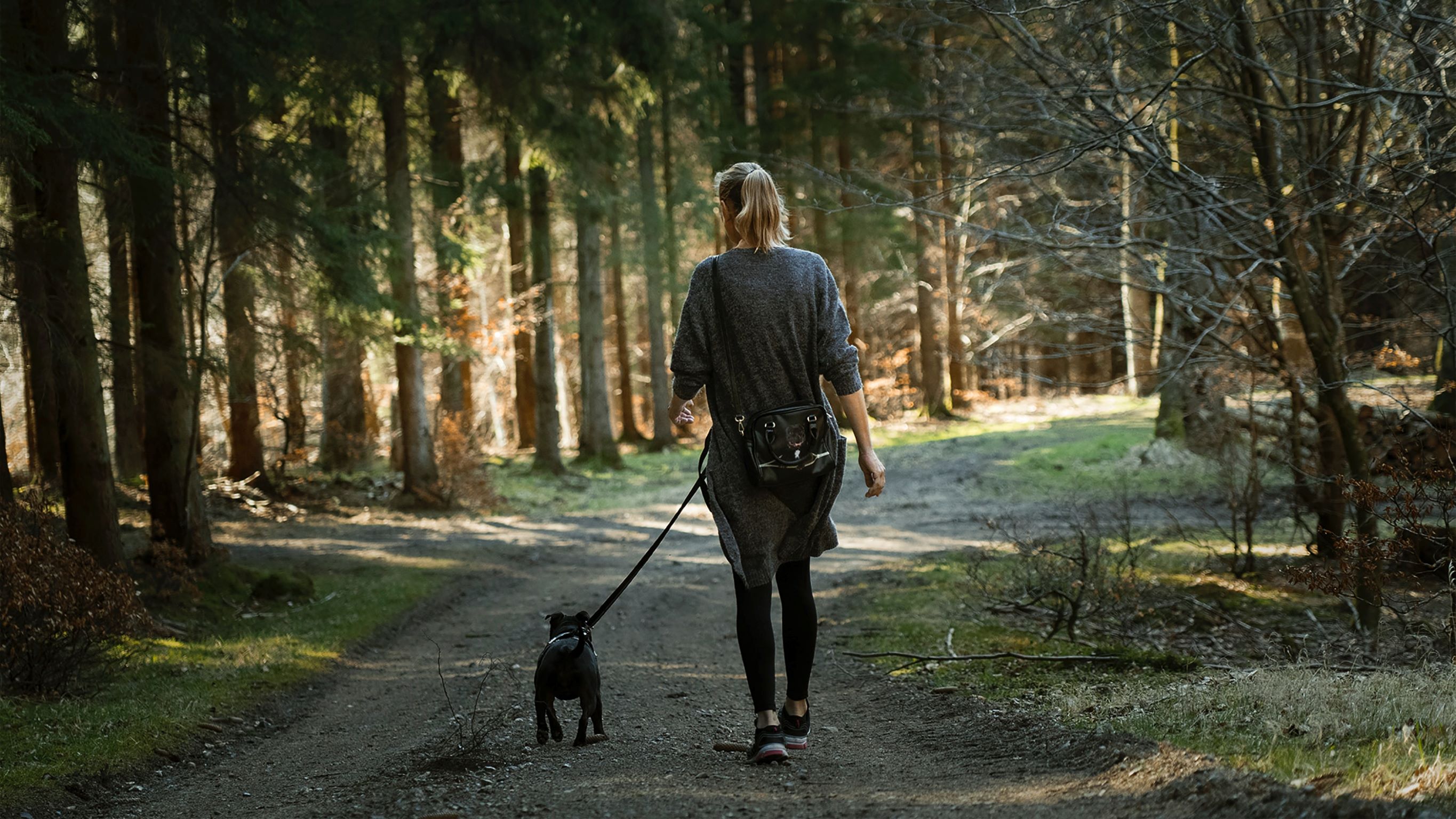 bos_natuur_wandelen