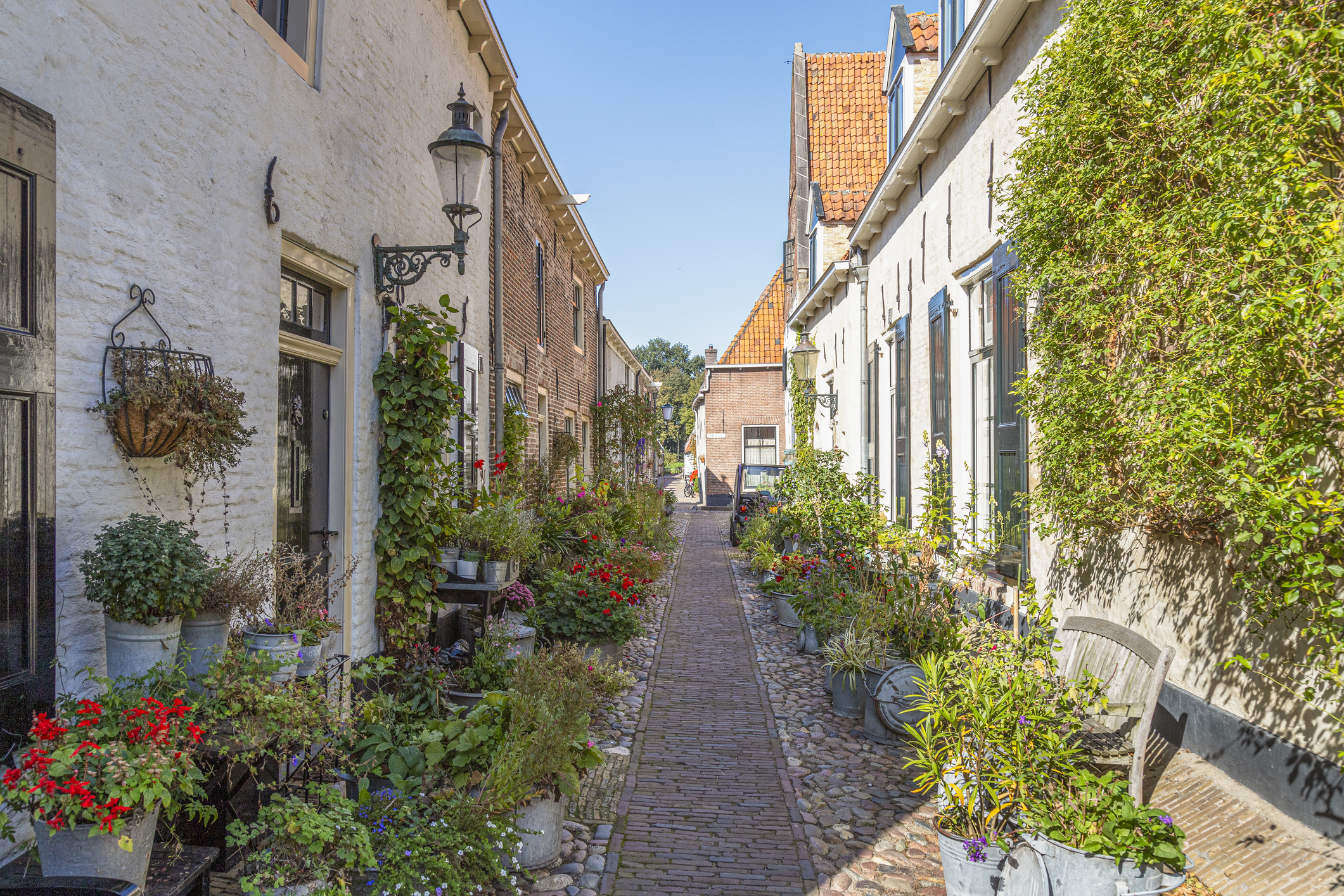 groene-straat_Vlaanderen