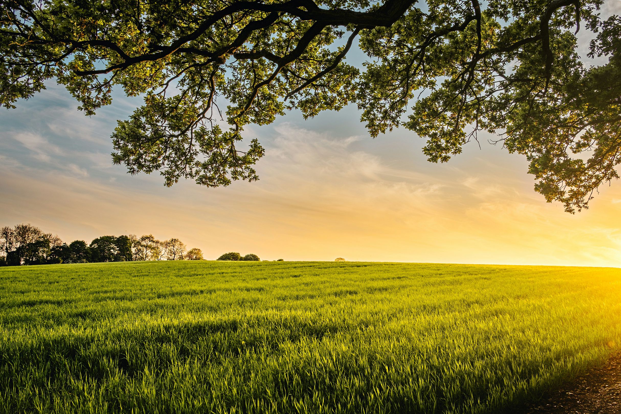 klimaatverandering