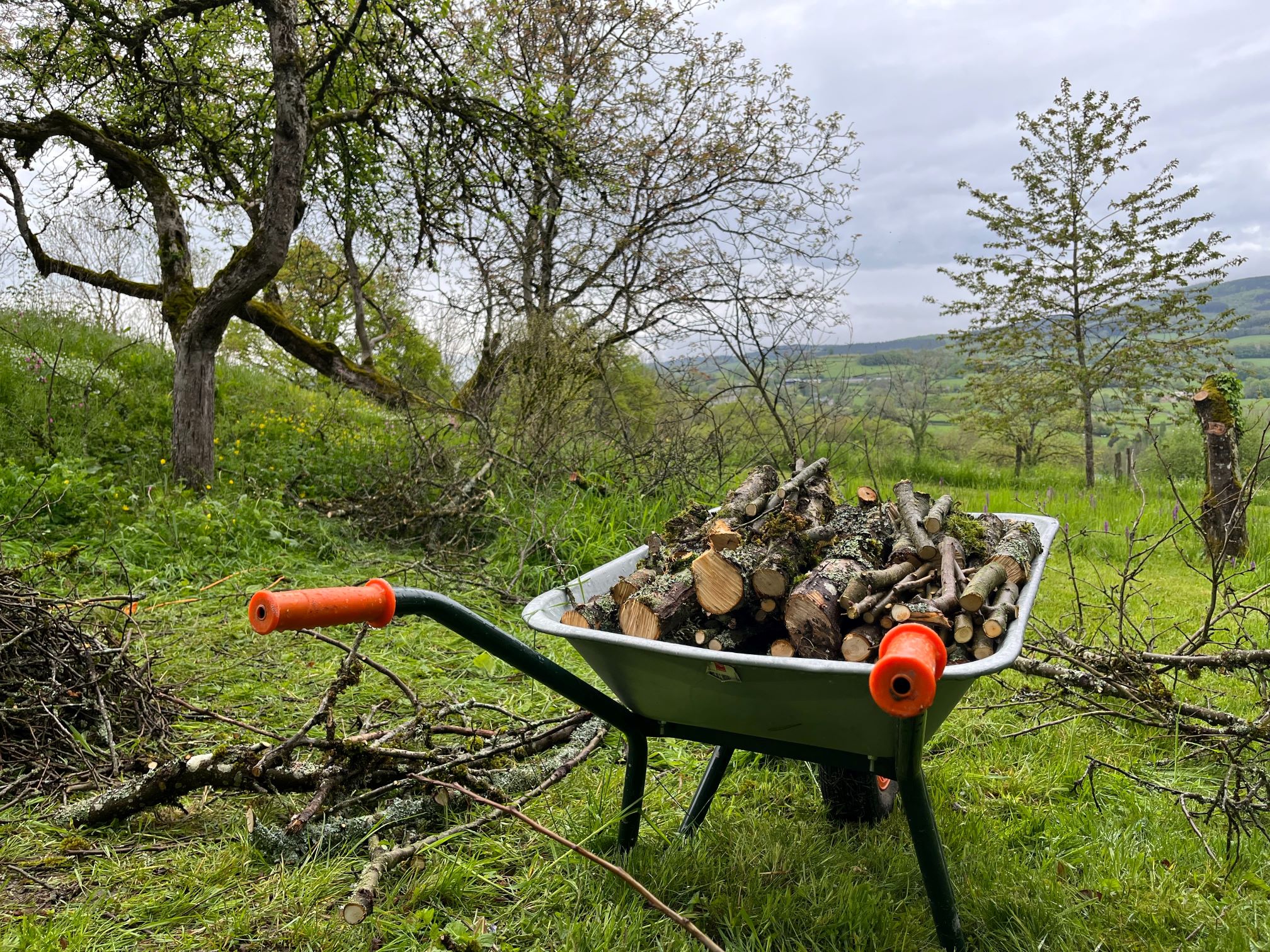 natuuronderhoud