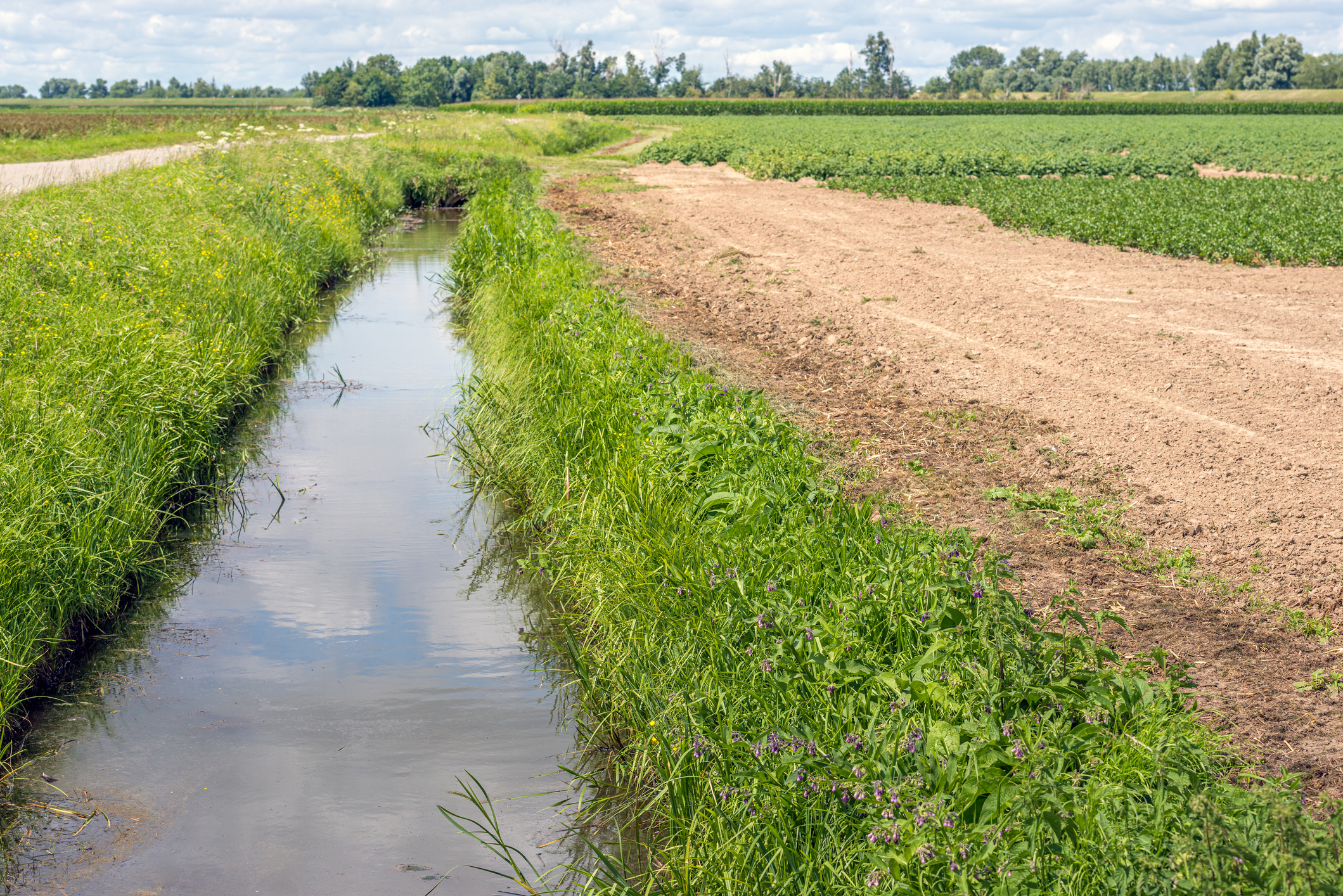waterloop_beschermingsstrook_